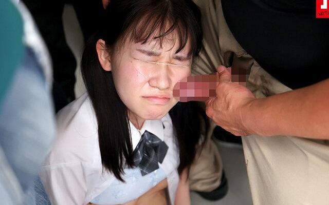 大混雑の電車で遭遇した小柄な女の子は突然の恐怖に震えながら性処理ペット扱いされ、扱かされ咥えさせられ何度も生ハメされる♡ 気弱な少女が全身精子マーキングで汚され、力の移り変わりに抵抗できなくなる